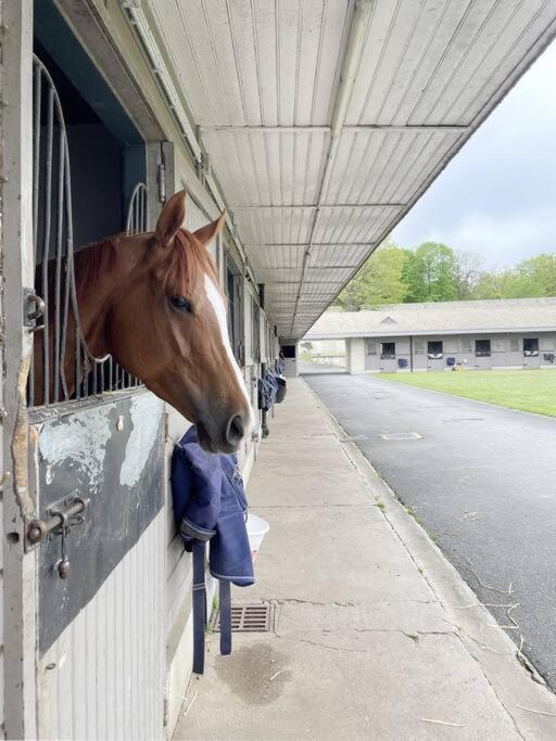 Paddock Prestige By La Boite En Plus Chantilly Exterior photo
